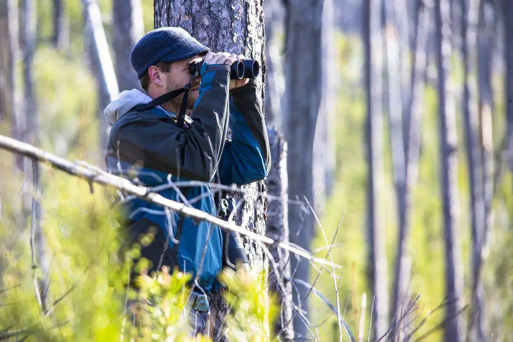 Best Compact Binoculars for Hunting, Hiking and Bird Watching