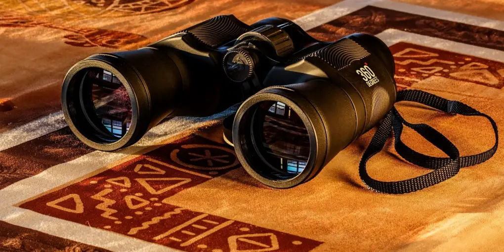 best binoculars under 100