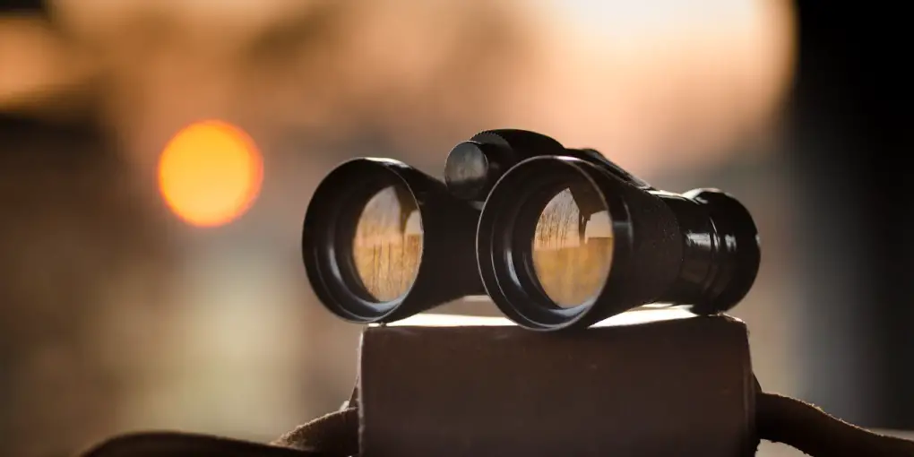 best binoculars under 300