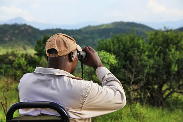 tips-on-choosing-wildlife-binoculars