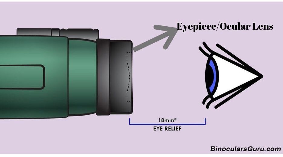 binocular eyepiece