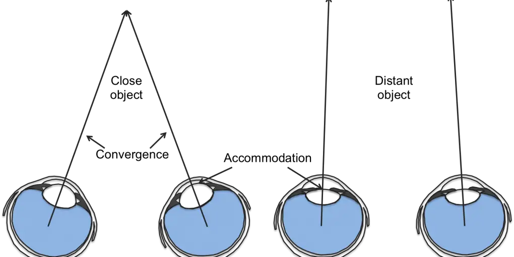 Binocular cues & Monocular Cues