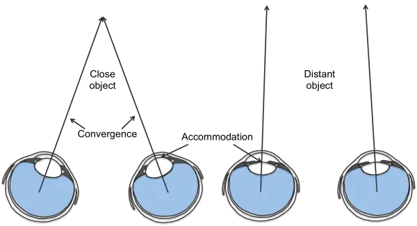 Binocular cues & Monocular Cues