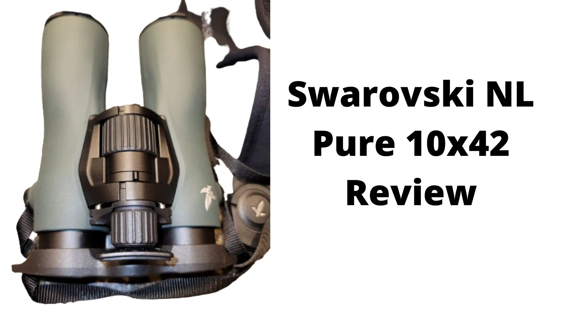 Swarovski-NL-Pure-10x42-Review