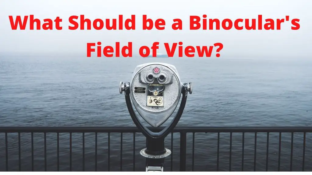 What Should be a Binocular's Field of View? Binoculars Guru