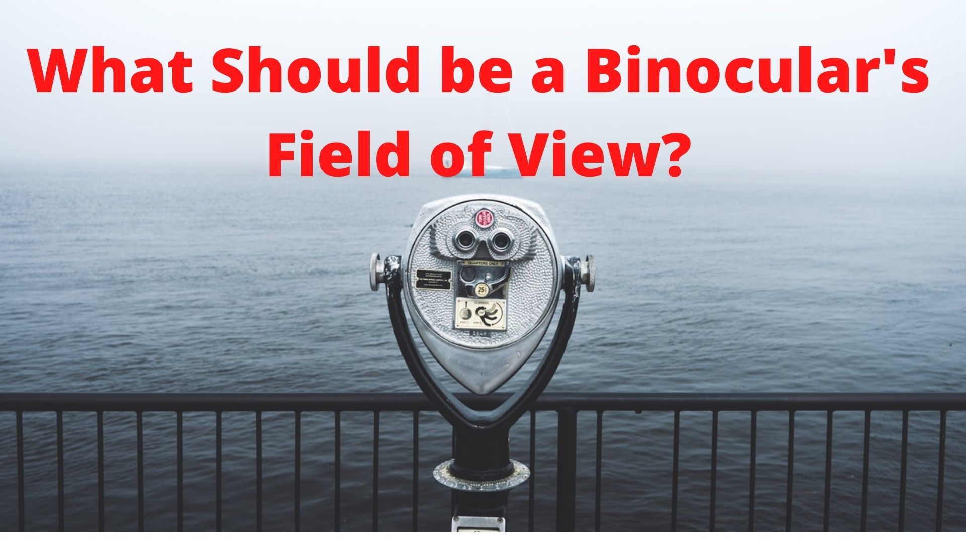 Binoculars Ideal Field Of View