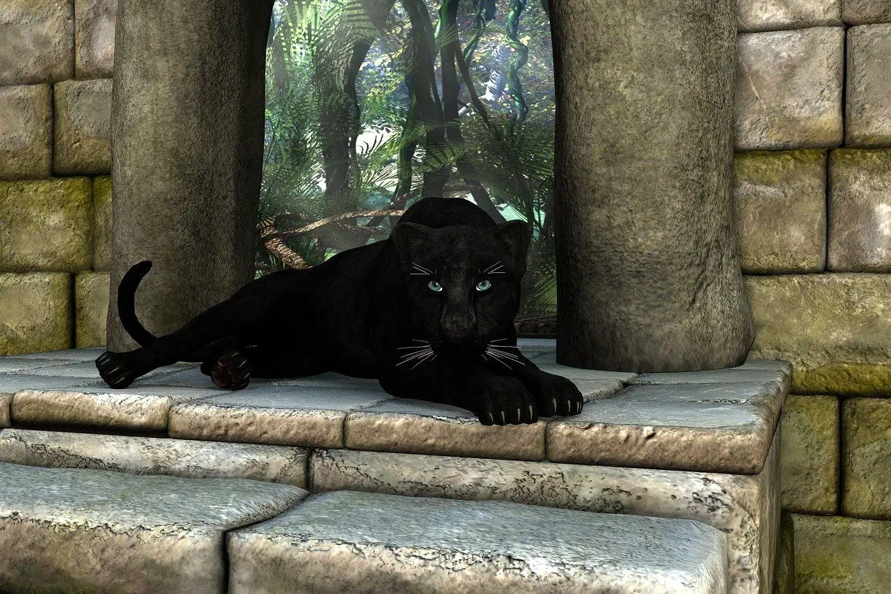 Black Panther Meaning & symbolism
