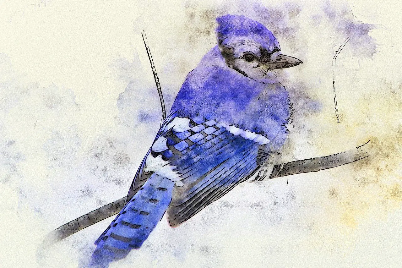 Blue Jay In Dreams Meaning