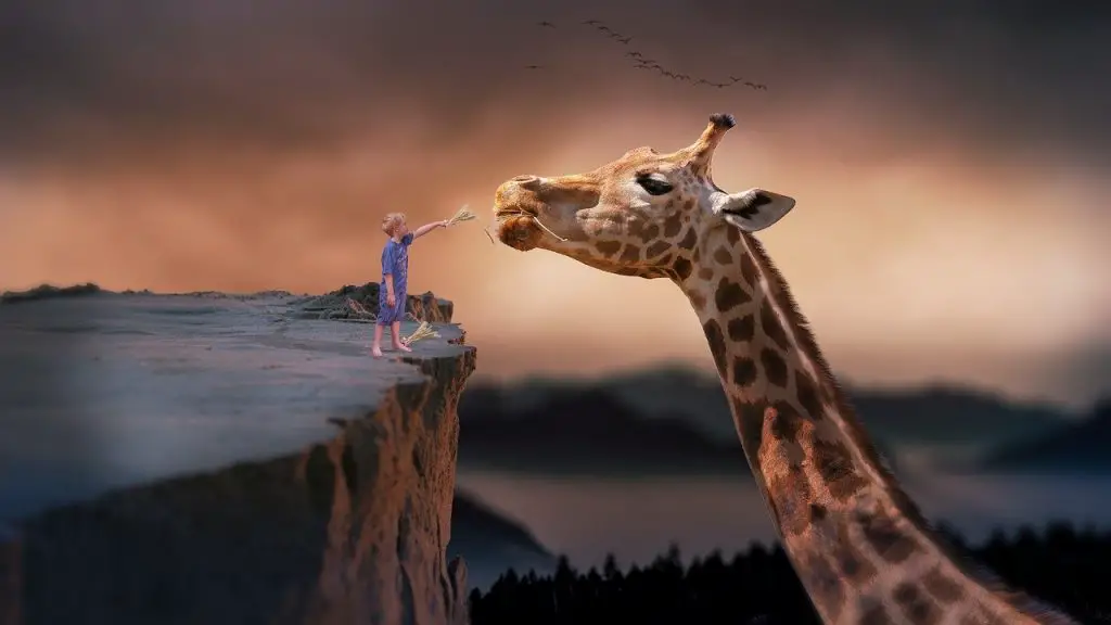 Giraffe Symbolism & Meaning
