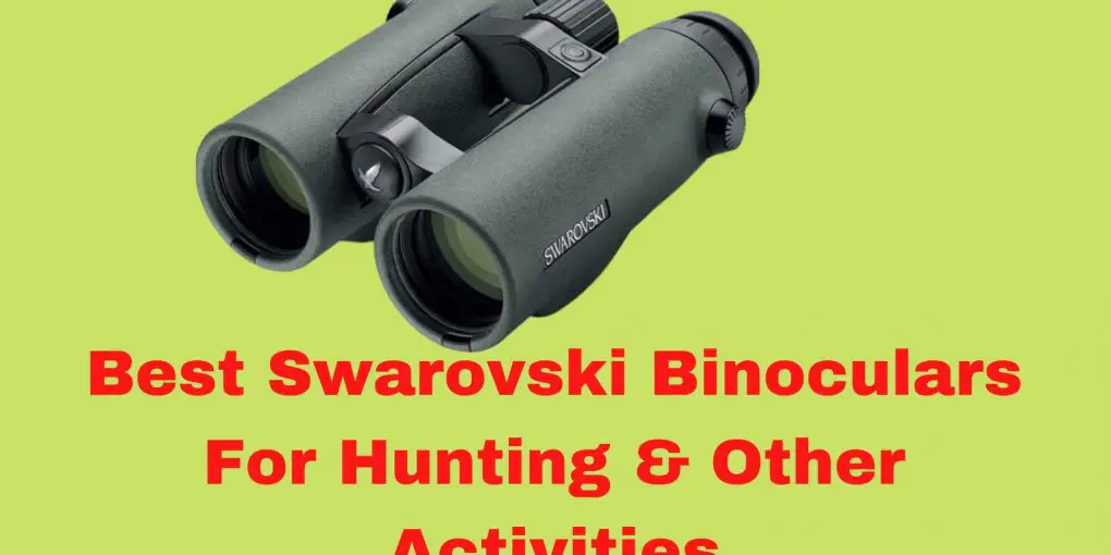 Best Swarovski Binoculars For Hunting