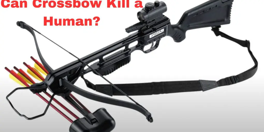 Can Crossbow Kill a human