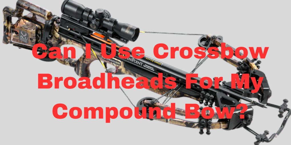 Can I Use Crossbow Broadheads For My Compound Bow?