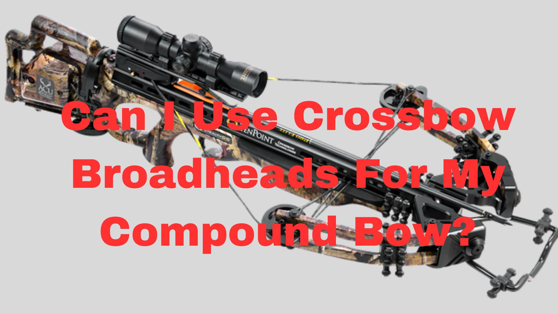 Can I Use Crossbow Broadheads For My Compound Bow? Binoculars Guru