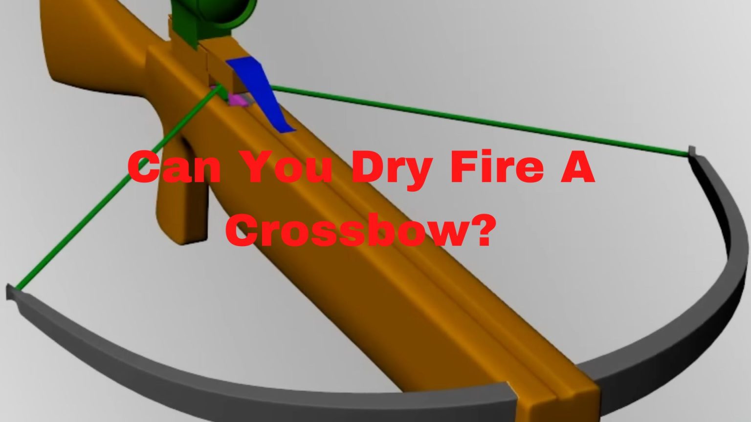 Can You Dry Fire A Crossbow? - Binoculars Guru