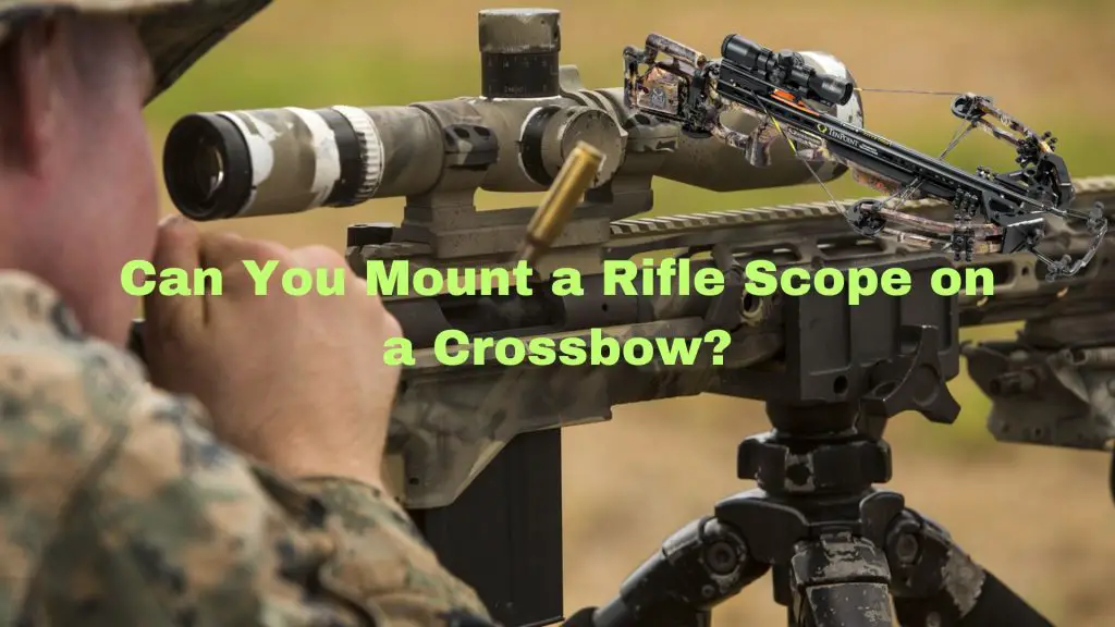 Can You Mount a Rifle Scope on a Crossbow?