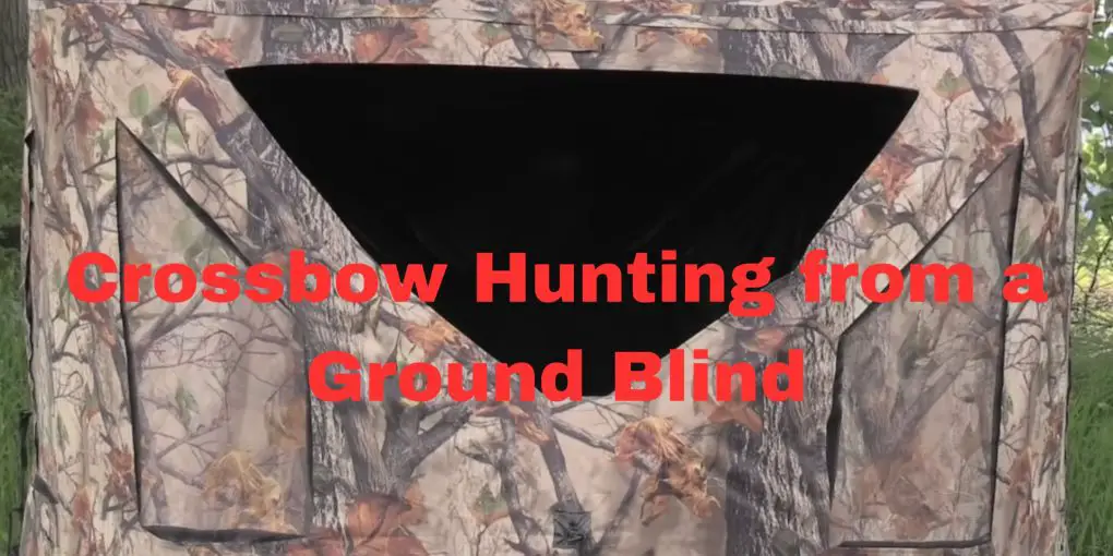 Crossbow Hunting from a Ground Blind