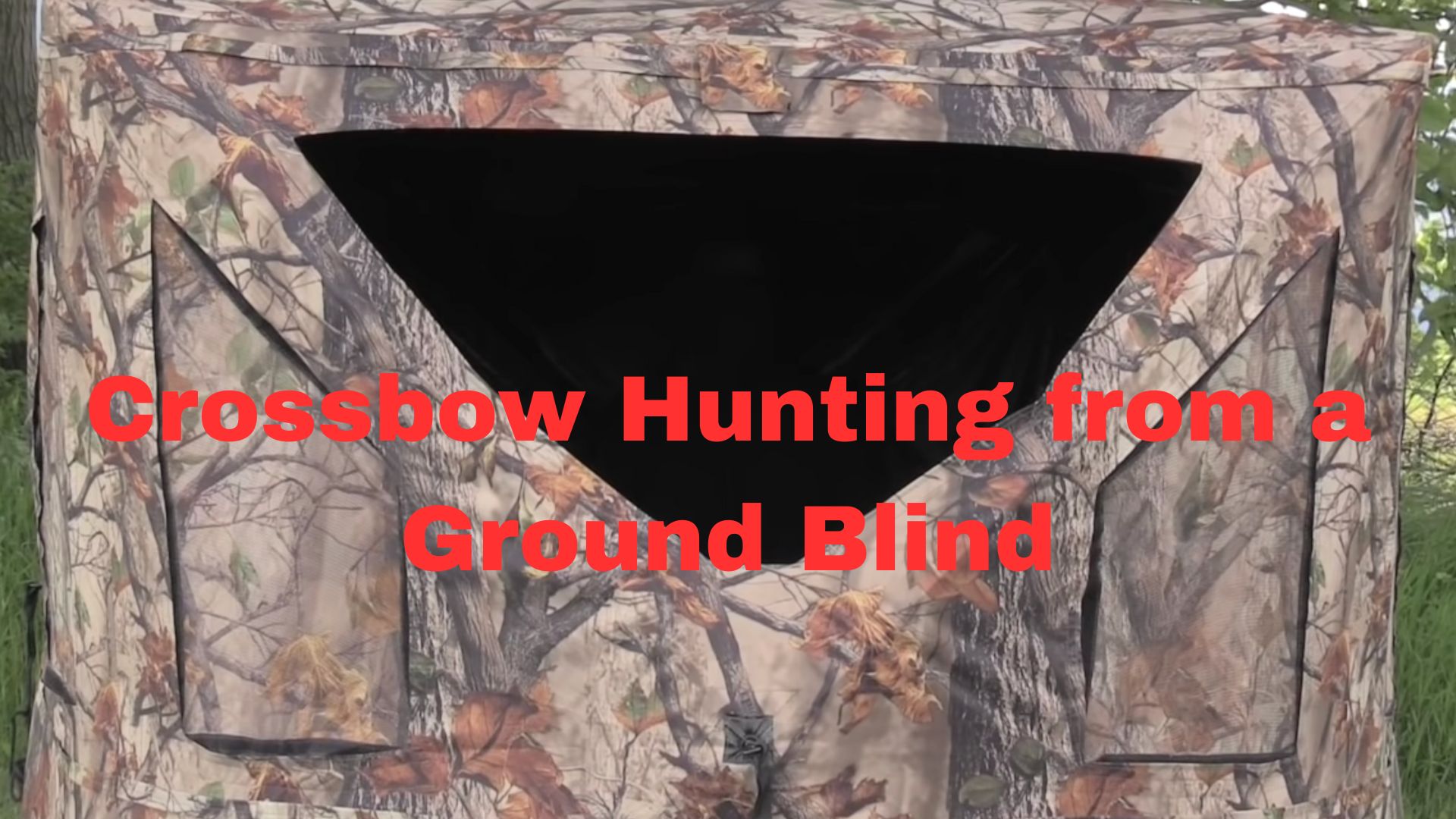 Crossbow Hunting from a Ground Blind With All Tips & Tricks