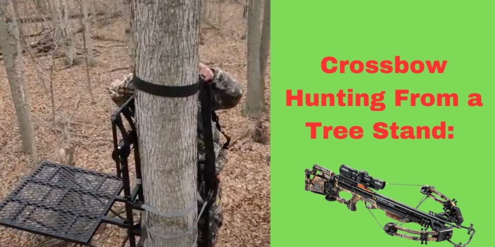 Crossbow Hunting from a Tree Stand: Things to Know!