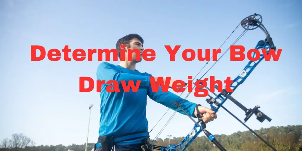 Determine Your Bow Draw Weight