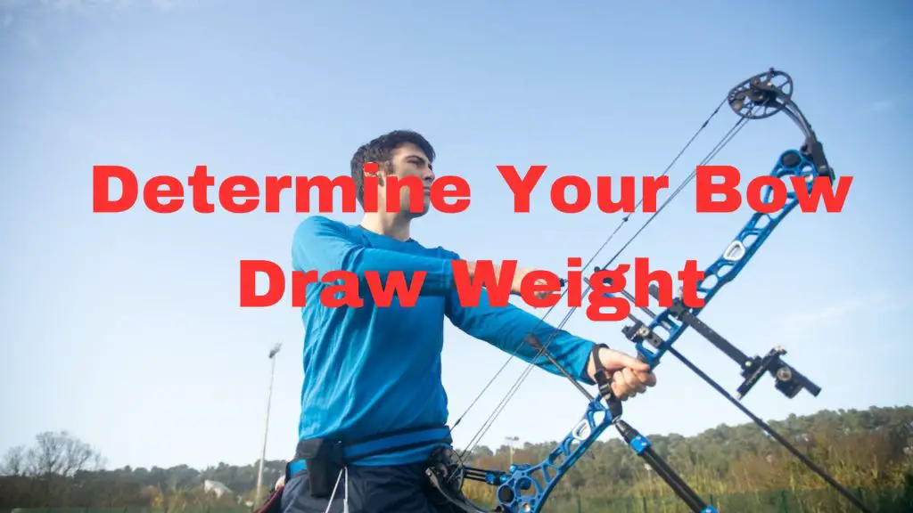 Determine Your Bow Draw Weight