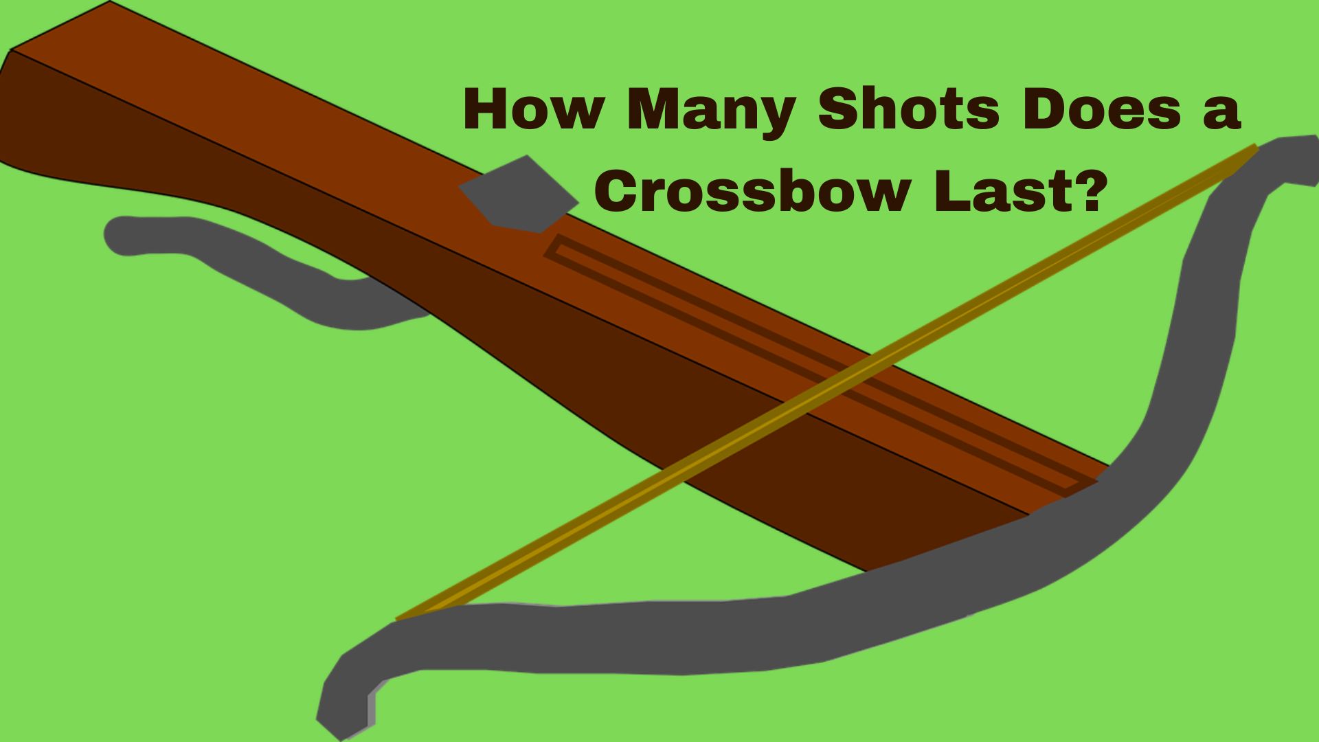 How Many Shots Does a Crossbow Last? Binoculars Guru