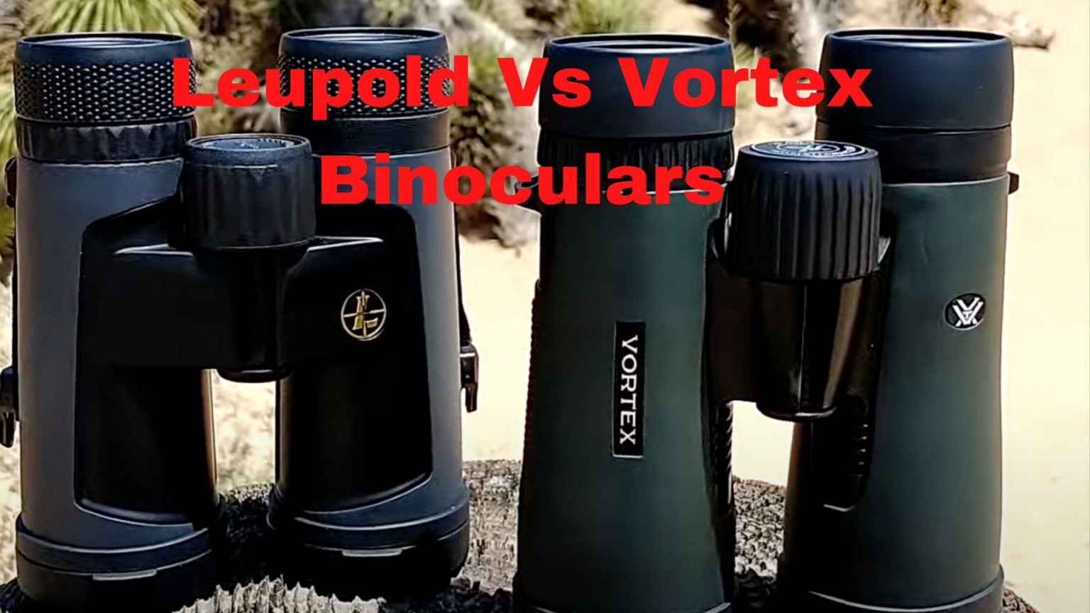 Leupold vs Vortex Binoculars A Comprehensive Comparison Binoculars Guru