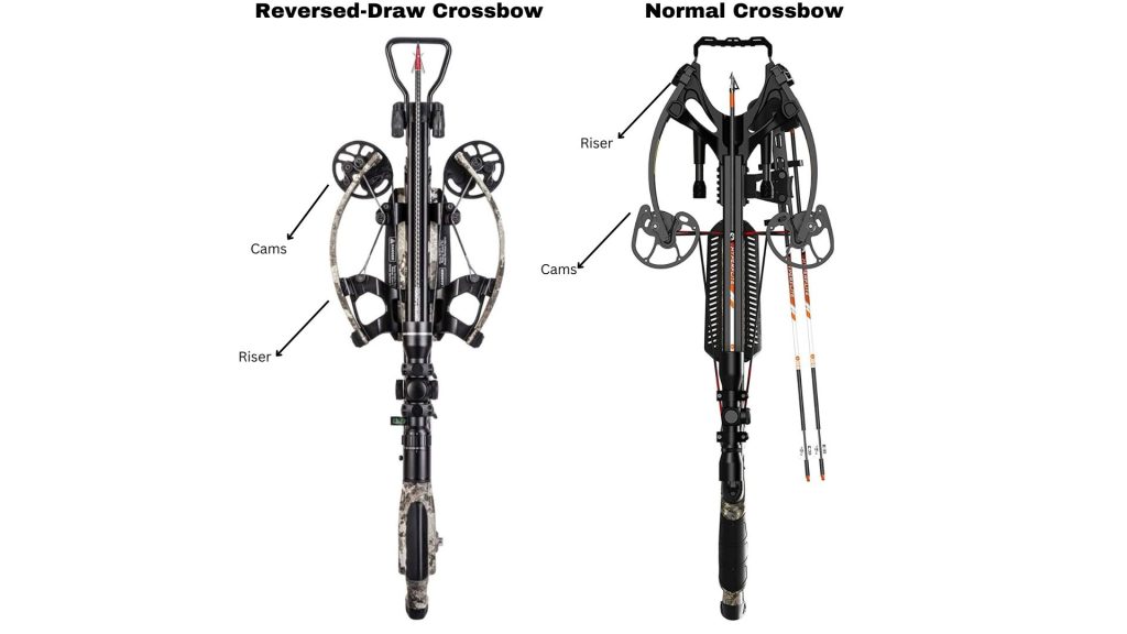 Normal Crossbow Reversed-Draw Crossbow.jpg