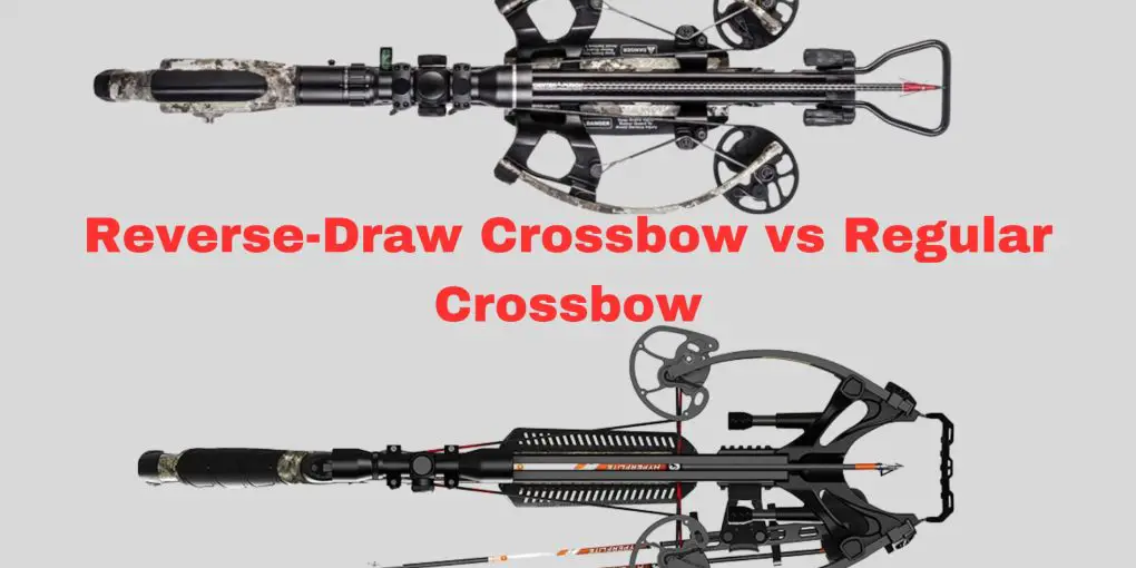 Reverse-Draw Crossbow vs Regular Crossbow