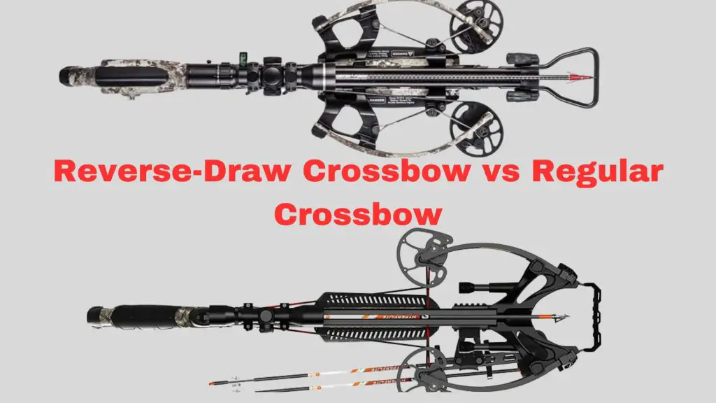 Reverse-Draw Crossbow vs Regular Crossbow