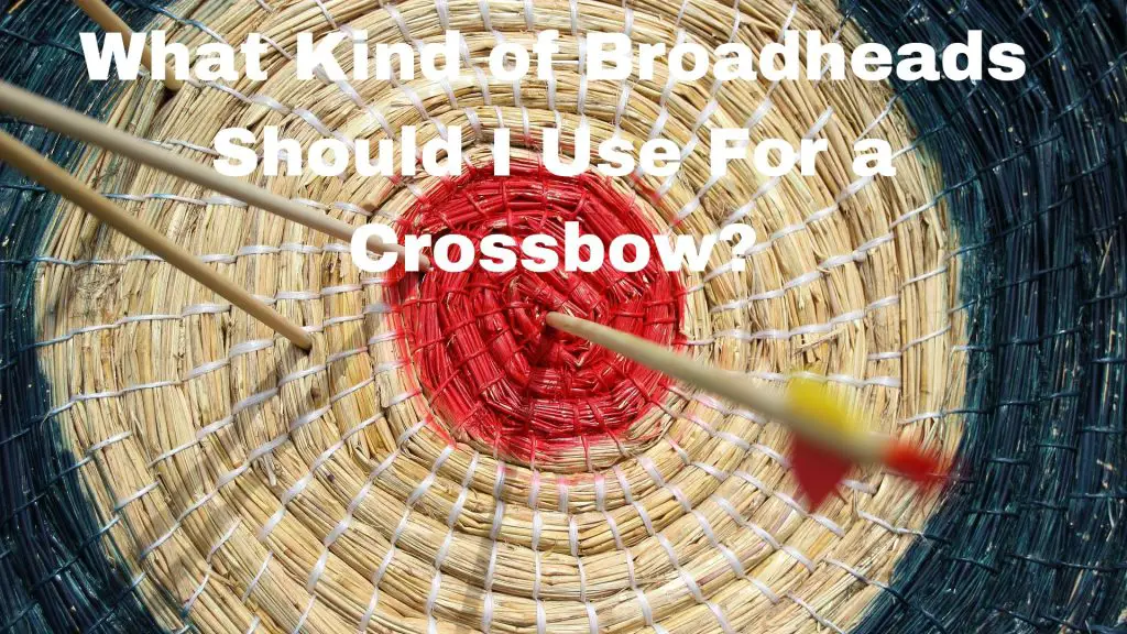 What Kind of Broadheads Should I Use For a Crossbow?