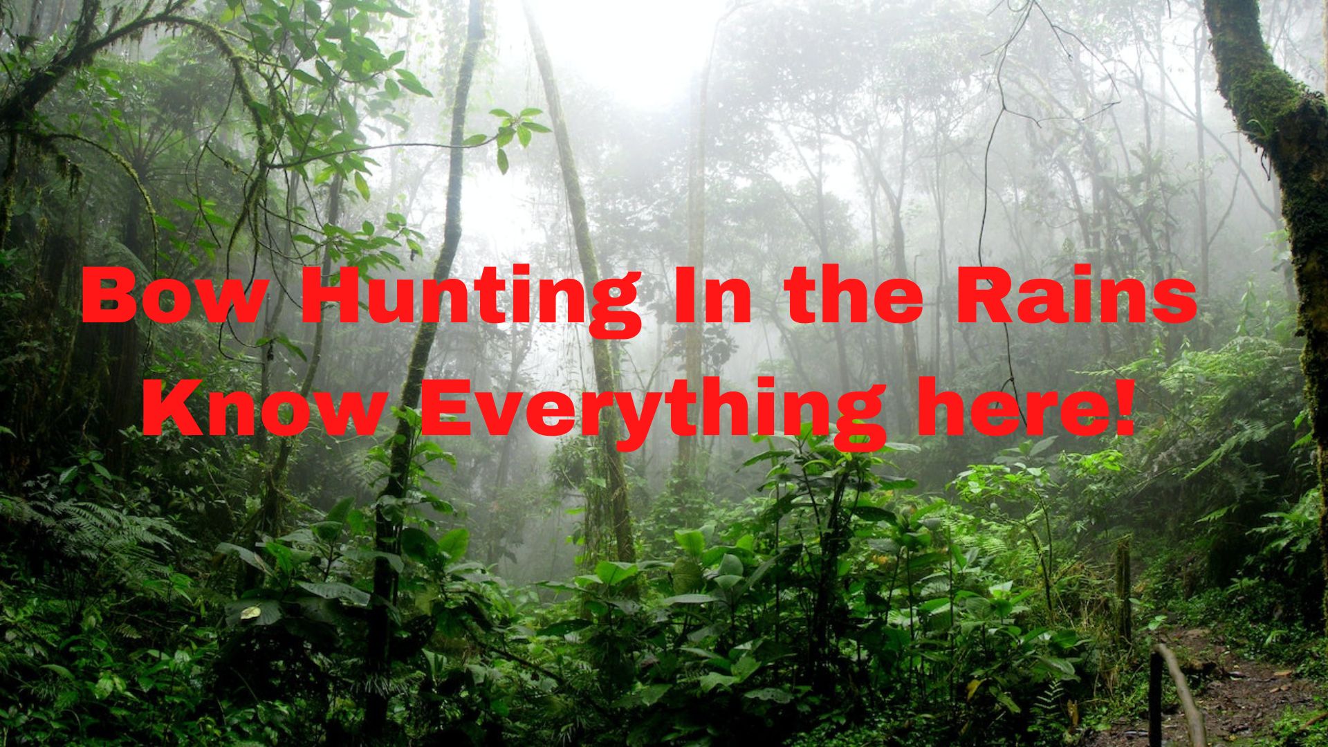 Can Bows Get Wet? Binoculars Guru