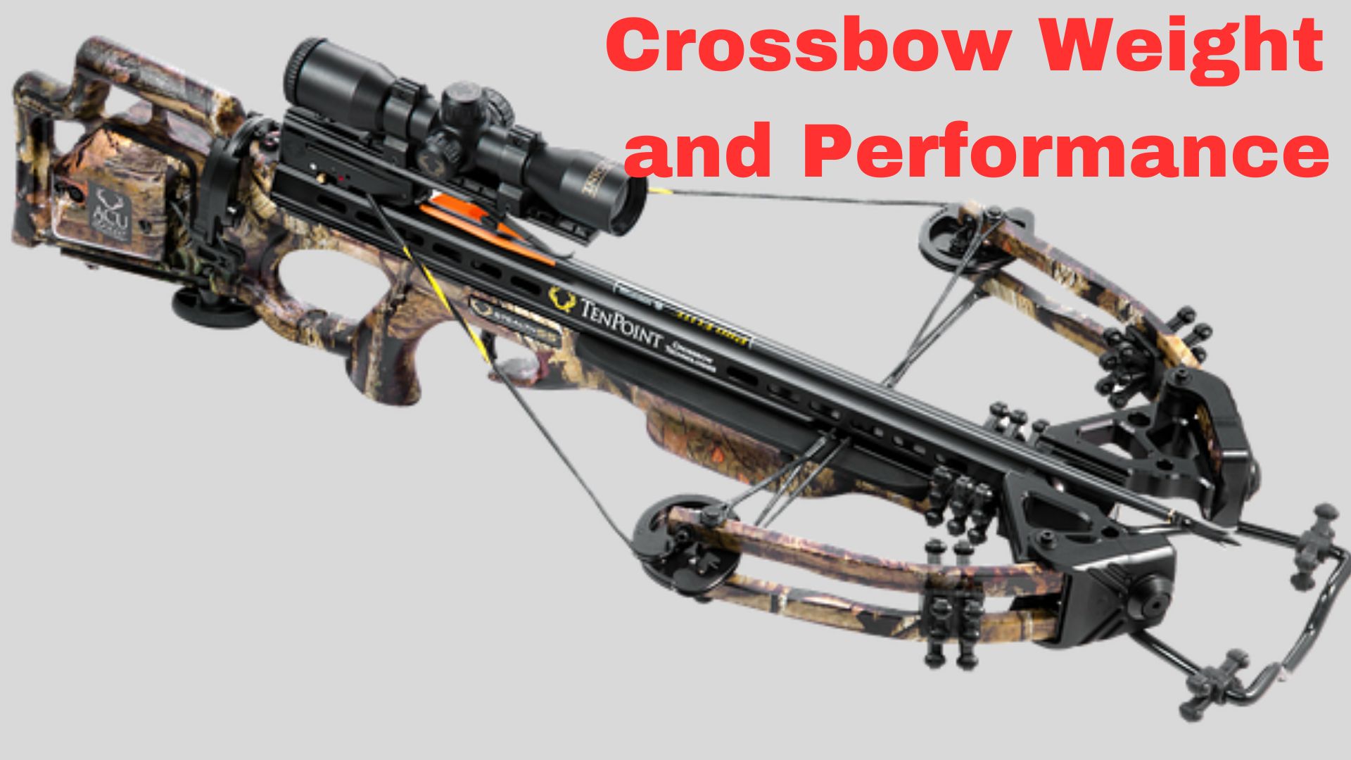 How Much Does A Crossbow Weigh? Binoculars Guru