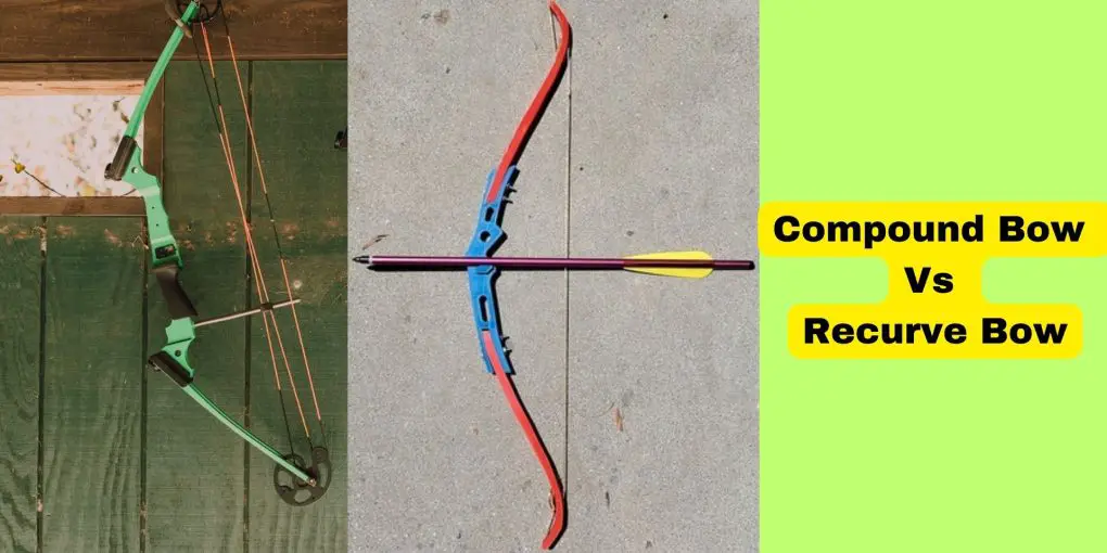 Compound Bow Vs Recurve Bow