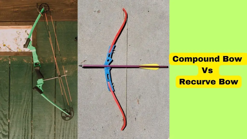 Compound Bow Vs Recurve Bow