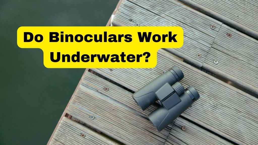 Do Binoculars Work Underwater?