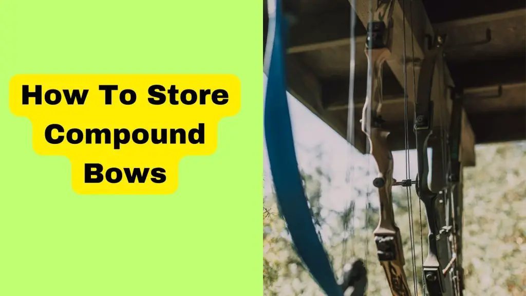 How To Store Compound Bows