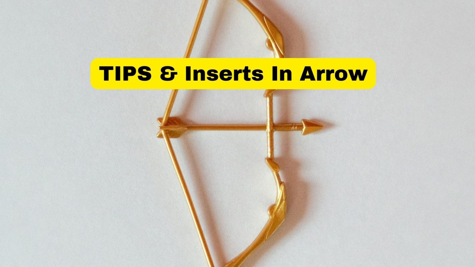 Do Arrows Come With Tips and Inserts? - Binoculars Guru