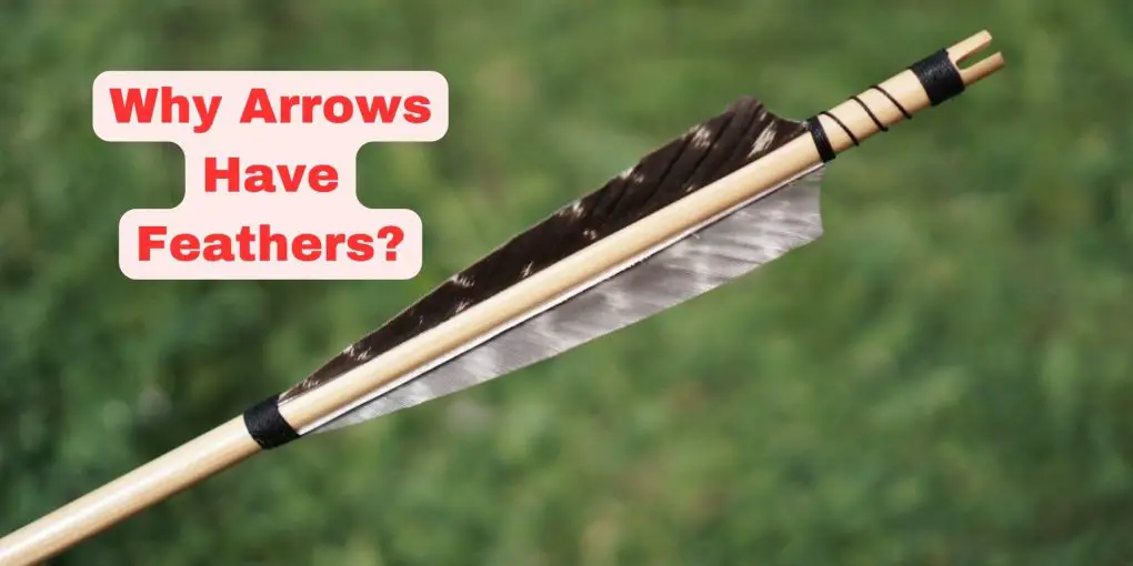 Why Arrows Have Feathers?