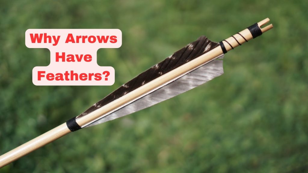 Why Arrows Have Feathers?