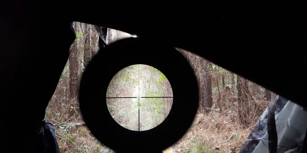 How To Sight In a Crossbow