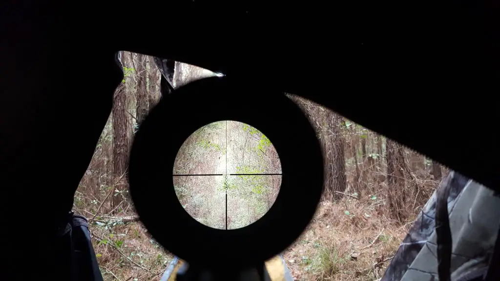 How To Sight In a Crossbow