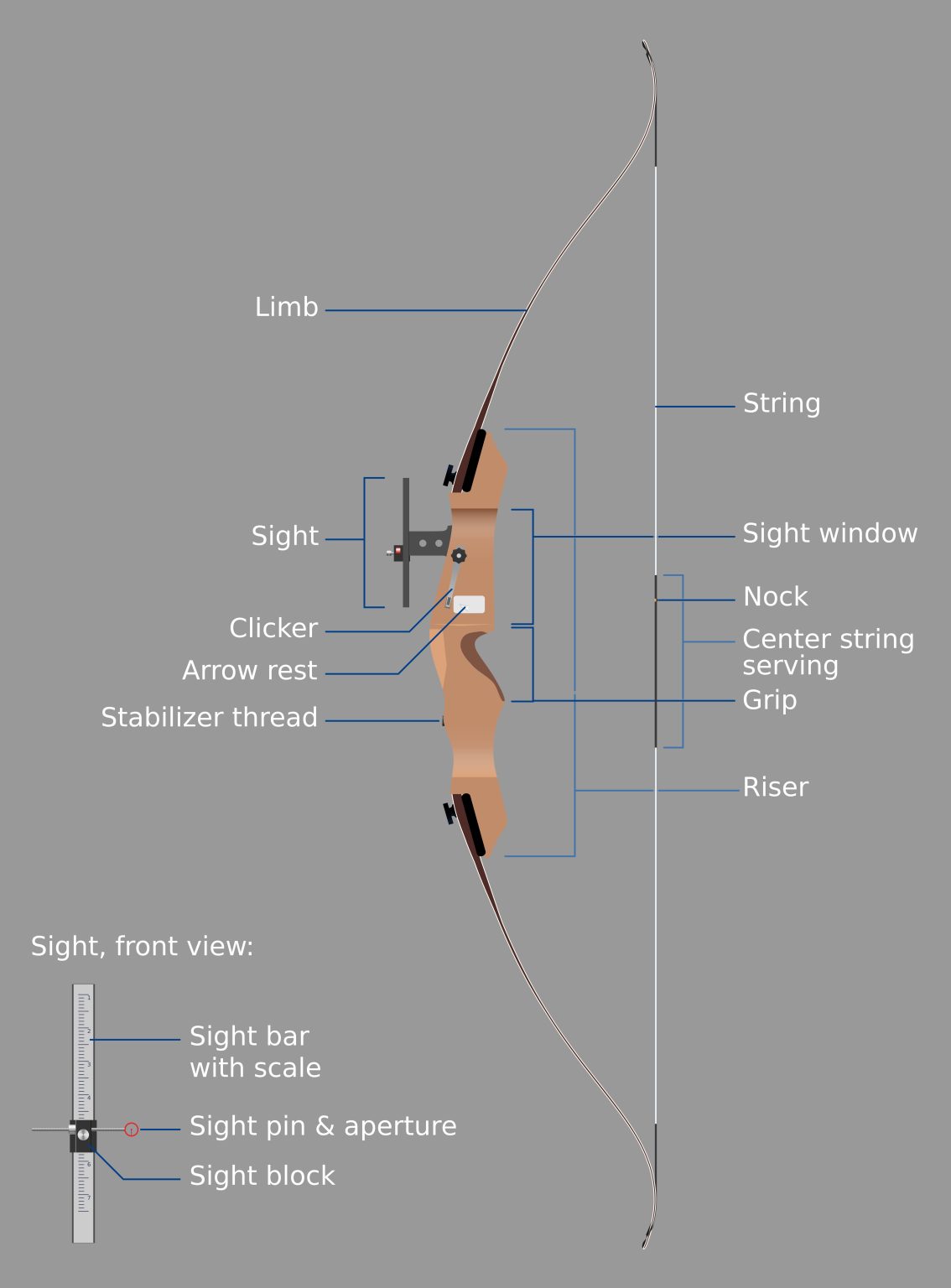 The Battle of the Bows: Compound vs Recurve Bows! - Binoculars Guru