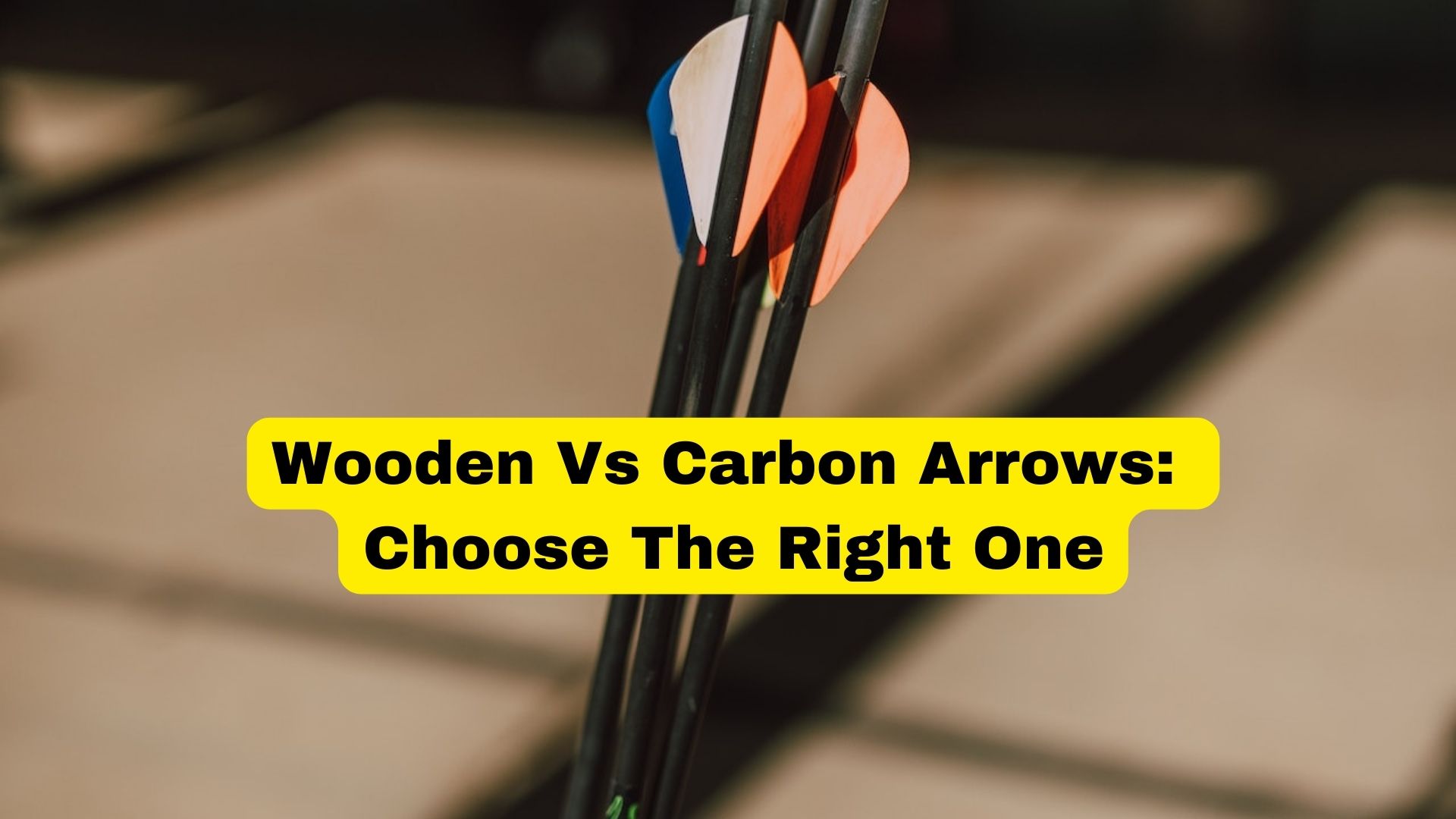 Wooden Vs Carbon Arrows Which One Should You Choose? Binoculars Guru