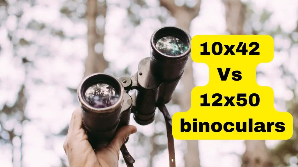 10x42 Vs 12x50 binoculars