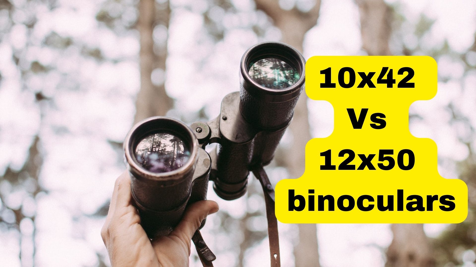 10x42 Vs 12x50 Binoculars Binoculars Guru