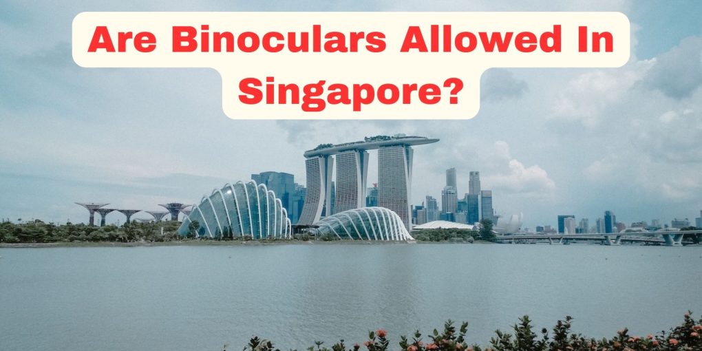 Are binoculars allowed in singapore