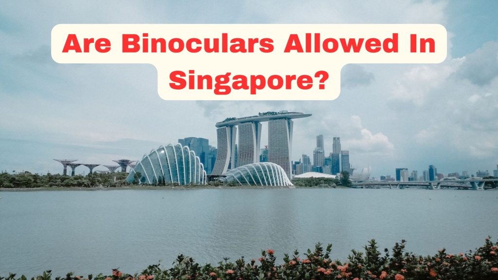 Are binoculars allowed in singapore