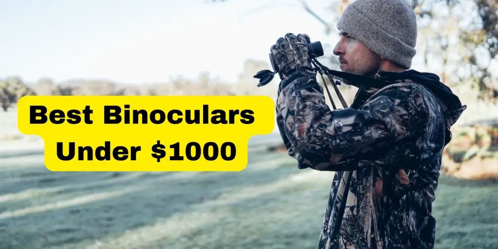 Best Binoculars Under $1000