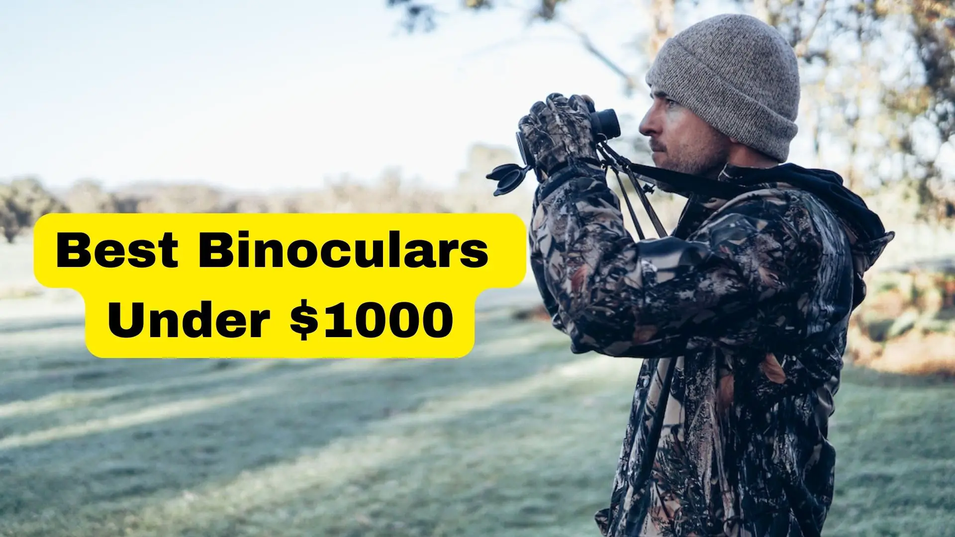 Best Binoculars Under $1000