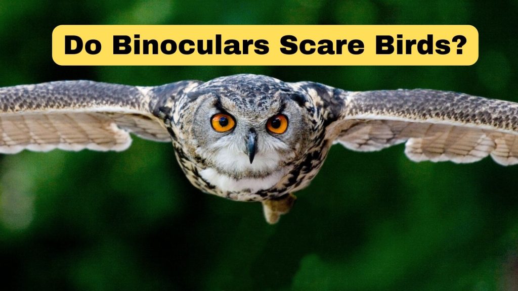 Do Binoclars Scare Birds